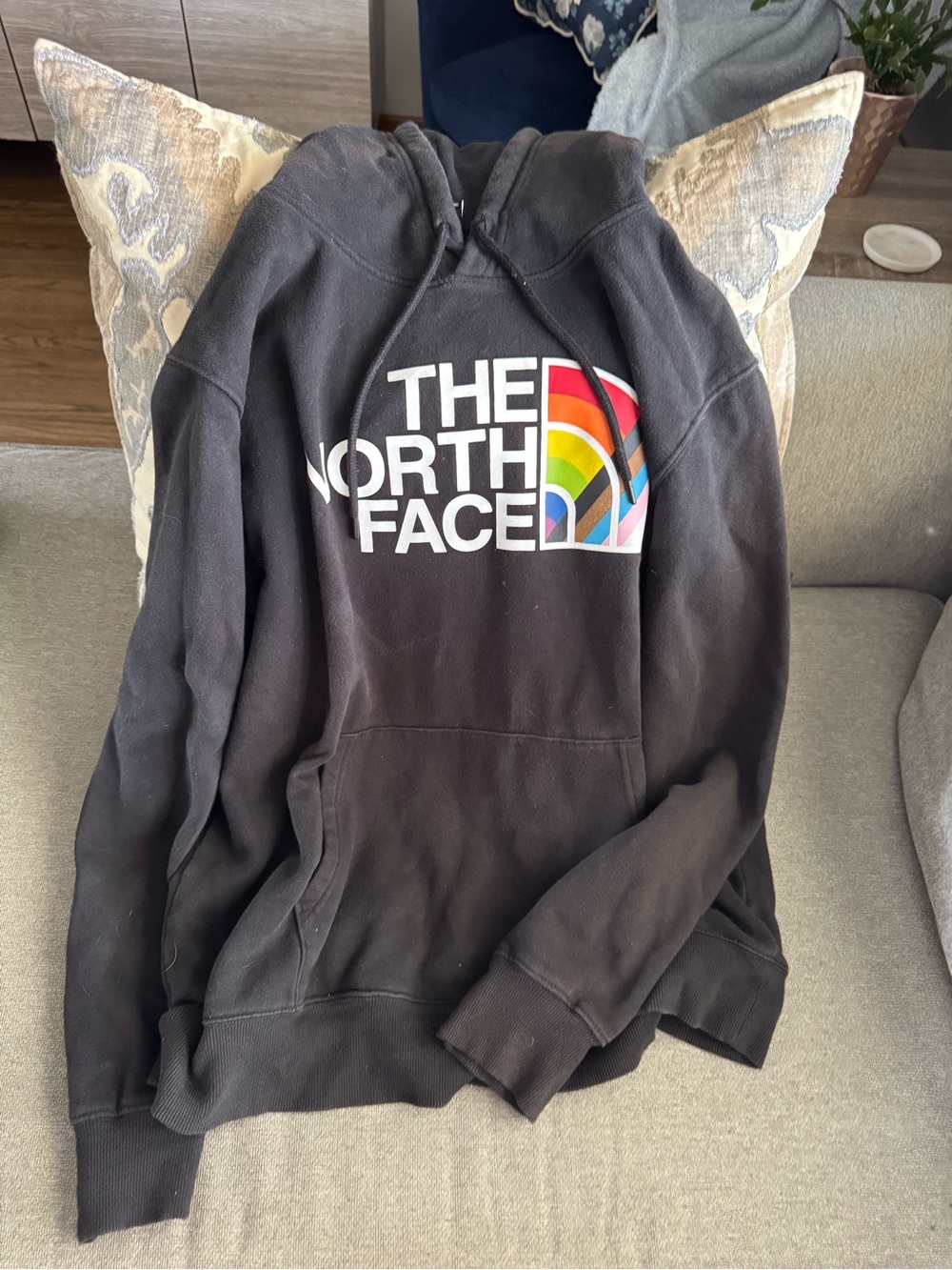 The North Face Black Crewneck Hoodie with Rainbow Logo Graphic